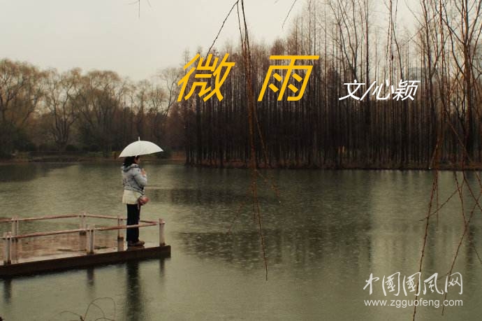  微雨（文/心颖）