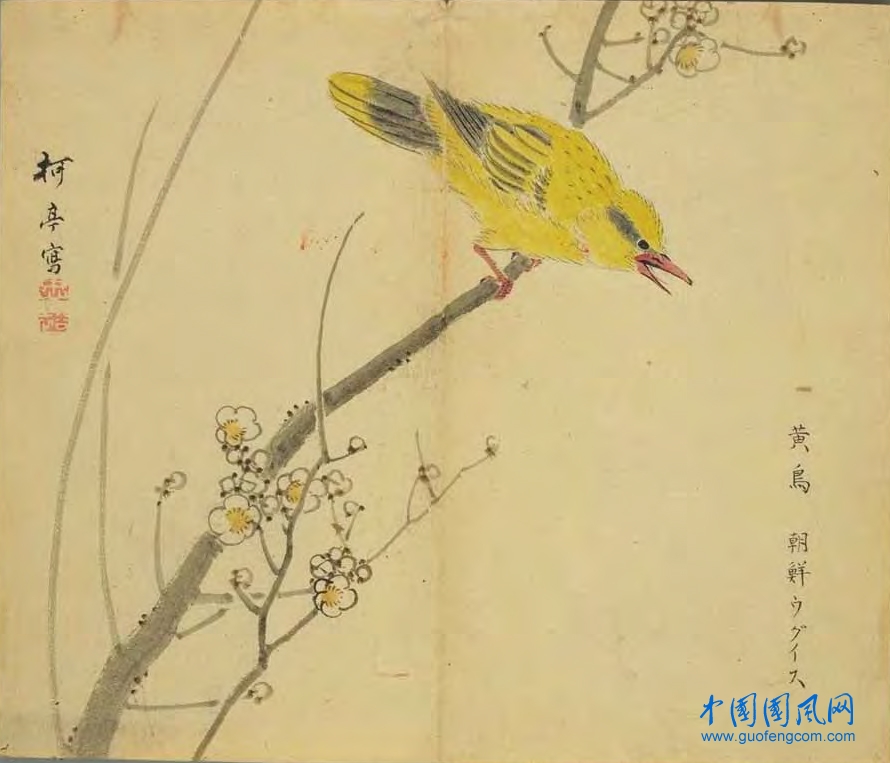 _ShiJing_黃鳥.jpg