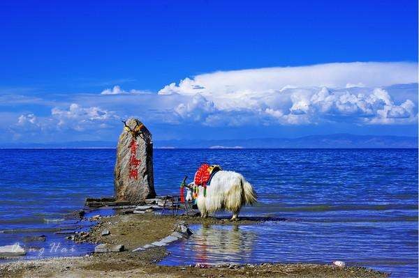 青海湖摄影