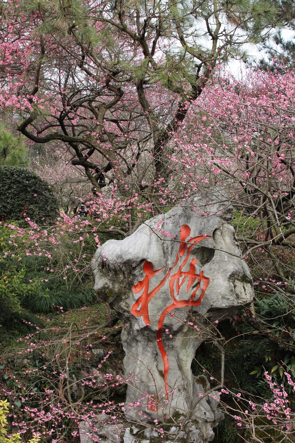 “奇峰云瀑·中国福山羊狮慕”全国摄影大展