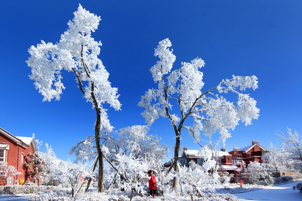 2018“最佳视•界”：燃情冰雪