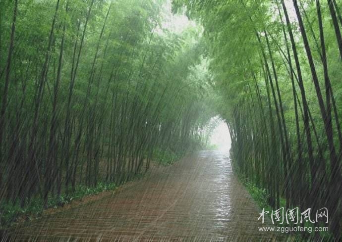 《初夏的雨》