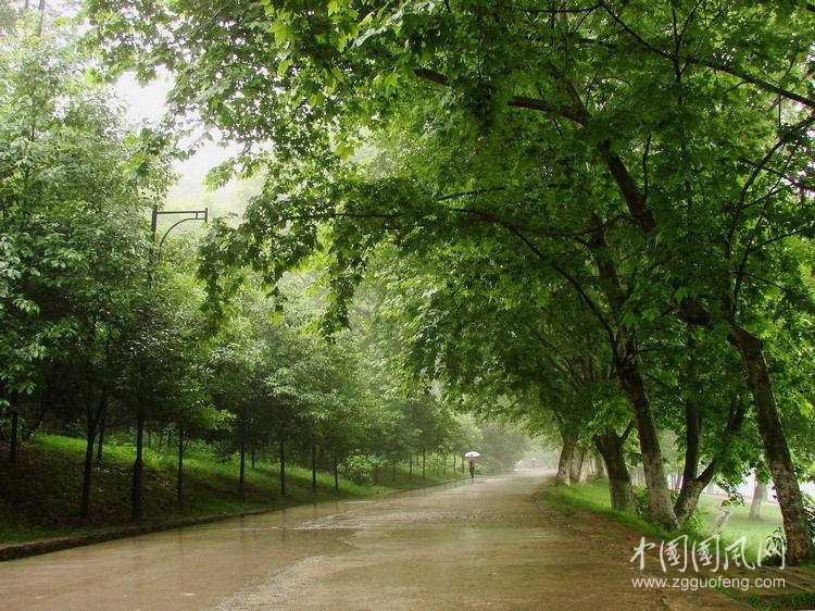 听雨_季羡林散文