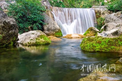 （回望集22）独自沉默    文/陈金茂