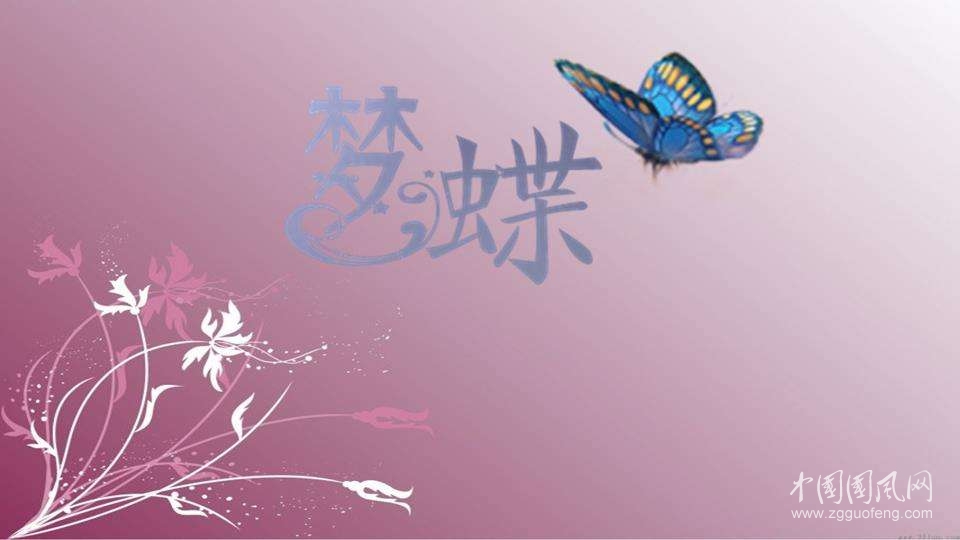 梦蝶