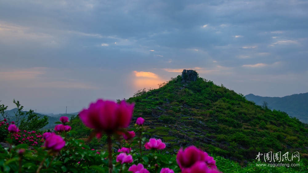 美丽的花季