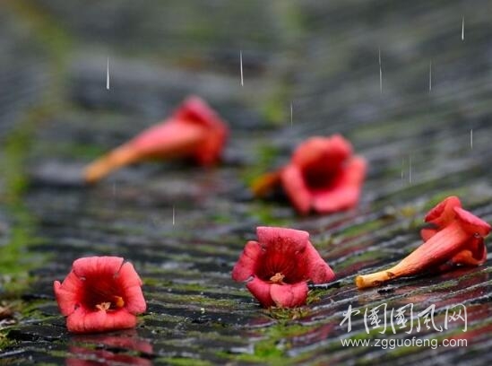 梅雨