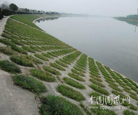 河堤上