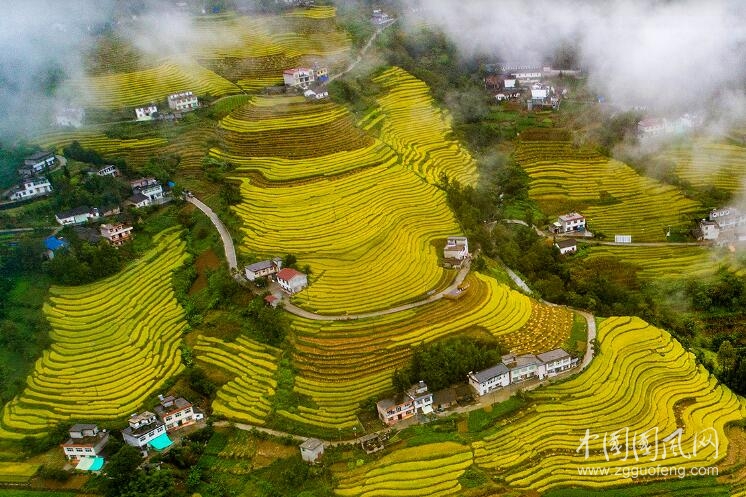 丰收的景