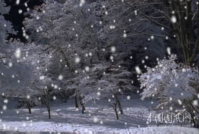 雪花组诗   （文/木子）