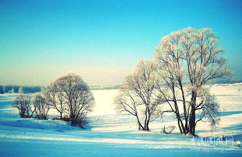 雪  （文/吴忠芹）