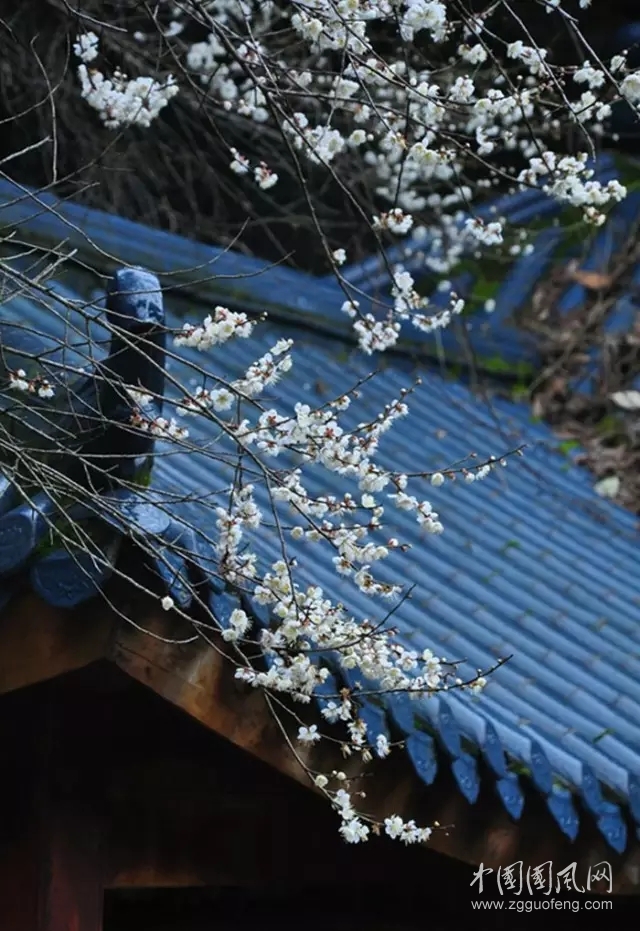 《追梦人》  文/青春鸟